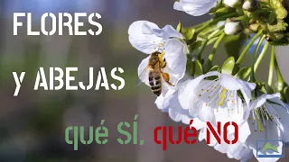 QUÉ INSECTICIDAS y FUNGICIDAS puedes USAR cuando hay FLORES y ABEJAS 🐝 🐞 #LdN #agriCULTURA