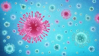 What Is Coronavirus (COVID-19)?