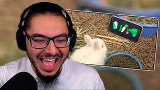 UNUSUAL MEMES COMPILATION V181 | REACTION