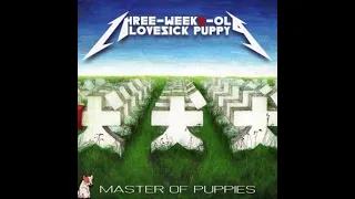 three-weeks-old-lovesick-puppy - Master Of Puppies (2013) [FULL ALBUM]