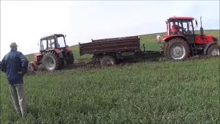 Tractor Belarus stuck in mud