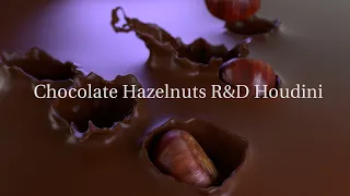 Chocolate Hazelnuts R&D Houdini