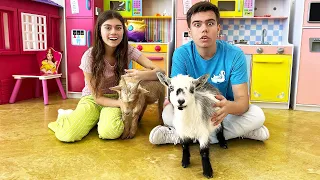 Nastya Artem Mia and funny stories about animals | Collection of useful videos for children