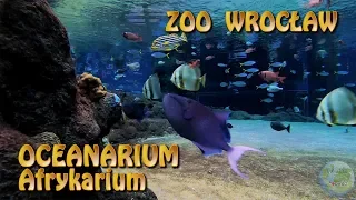 Oceanarium Afrykarium Zoo Wrocław [4K] GoPro Hero 7