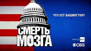 СМЕРТЬ МОЗГА | БЕЗМОЗГЛЫЕ | BRAINDEAD l treiler (RATTLEBOX studio)