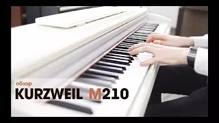 Цифровое пианино Kurzweil M210 - обзор