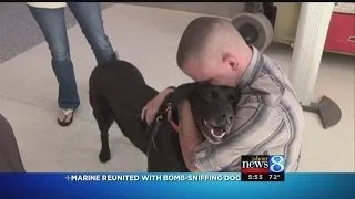 Marine reunited with bomb-sniffing dog