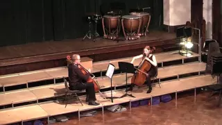 Cello Duet - Fragile