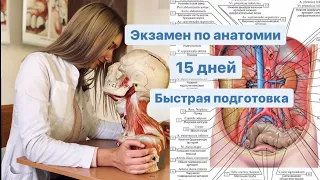 КАК ПОДГОТОВИТЬСЯ К ЭКЗАМЕНУ ПО АНАТОМИИ ЗА 15 ДНЕЙ??// КАК УЧИТЬ, ПО ЧЁМ УЧИТЬ, КАК НЕ СОЙТИ С УМА