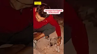 sad dog 🥺🐕 short video #shorts #shortvideo #short #dog #doglover #animals #viral