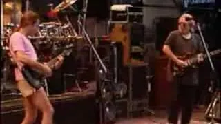 Grateful Dead - Bertha Live 1989