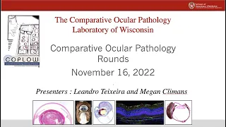 COPLOW Ocular Pathology Rounds November 16, 2022