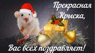 С Наступающим Новым годом! Мышка вас всех ПОЗДРАВЛЯЕТ! Музыкальная открытка!