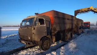 СВЕКЛА2023 СЕРИЯ-10 ЗАКЛЮЧИТЕЛЬНАЯ ! ГОЛОЛЁД ПО ПОЛЮ