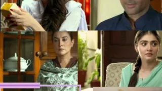 Dil Ruba /Episode 2 28 March 2020/ Hum TV Dramas