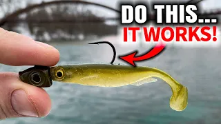 This Swimbait Retrieve Works Every Time (Winter Fishing)