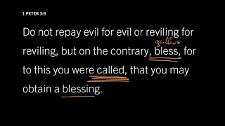 Cleanse Your Conscience of Guilt: 1 Peter 3:15–16, Part 1