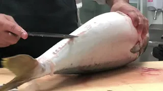 How To Clean a Whole Hamachi for Sushi - Japanese Food - YELLOWTAIL AMBERJACK fillet - fish cutting