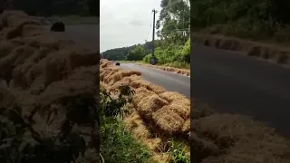 Saiu da pista e bateu Teutonia 2022