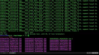 17 Running Multiple Commands in Parallel on a GNU Linux