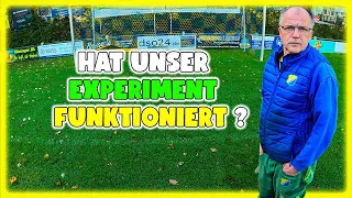 Top oder Flop? - ist unser Experiment gescheitert? I Udo & Wilke