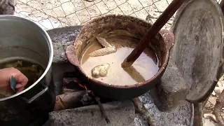 PIPIAN DE GUAJOLOTE EN CUAUTEPEC, GRO.