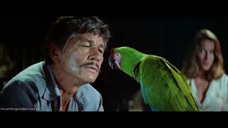 Cabo Blanco | Film (1980) Adventure, Thriller, Romance with Charles Bronson, Jason Robards