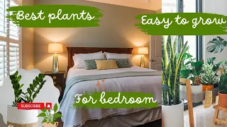 Air purifying indoor plants | Top 5 air purifying plants for bed room | house plants | indoor plants