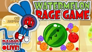 THE WATERMELON RAGE GAME