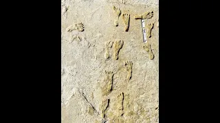 Worlds Oldest Footprints in North America found in new Mexico!