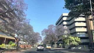 Driving the streets of Pretoria