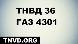 ТНВД 36 ГАЗ 4301
