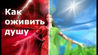 Как оживить душу. Н. Пейчев