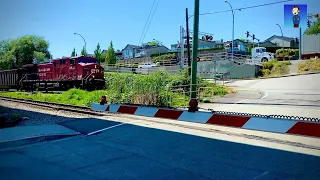 CP Sulphur at Cumberland Street Crossing (July 20th 2021)