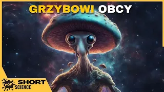 Grzybowi kosmici. Sieć połączeń grzybów - POP Science Fragmenty