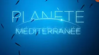 Sto metrów pod wodą planeta Morze Śródziemne - film dokumentalny lektor pl