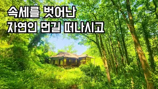 숲속에 있는 빈집 을 찾아가 보았습니다  사람들은 떠나고 산 새들이 반겨 주네요 an empty house mountain village Korea 🇰🇷 ♥️