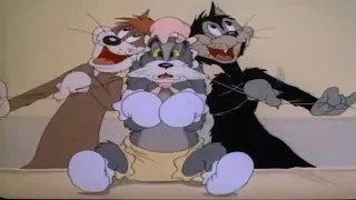 Tom va Jerry oʻzbek tilida