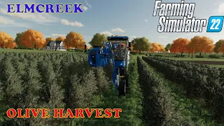 Elmcreek Ep 22     Olive harvest and I try to deal with the weeds     Farm Sim 22