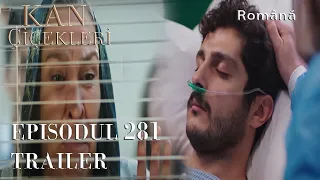 KAN ÇİÇEKLERİ 281 - Everything happened because of me..