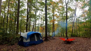 Camping in The Forest | Birds Singing in The Forest & Campfire Listening to Sleep, Meditate, Study