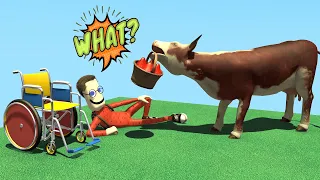 Nick pretends he can't walk, Cow, Funny story, Cartoon animation