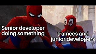 Senior Vs Junior - funny programming jokes