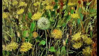 Draw dandelions oil painting   рисуем одуванчики Vugar Mamedov