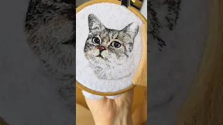 Вышиваем портрет котика - вышивка гладью | cat embroidery