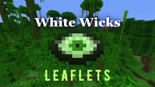 Leaflets - Fan Made Minecraft Music Disc