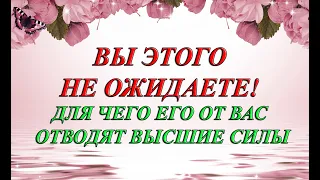 ВЫ ЭТОГО НЕ ОЖИДАЕТЕ! ДЛЯ ЧЕГО ЕГО ОТ ВАС ОТВОДЯТ ВЫСШИЕ СИЛЫ