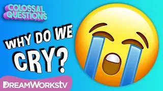 Why Do We Cry? | COLOSSAL QUESTIONS