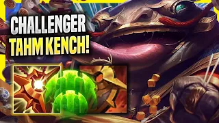 LEARN HOW TO PLAY TAHM KENCH SUPPORT LIKE A PRO! - Challenger Plays Tahm Kench SUPPORT vs Leona!