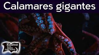 Calamares gigantes | Relatos del lado oscuro